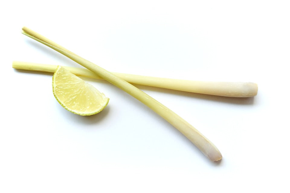 Lemongrass stick