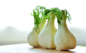 
            
                Load image into Gallery viewer, Fennel Bulb
            
        