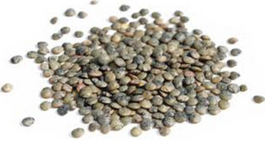 
            
                Load image into Gallery viewer, Merchant Gourmet Puy Lentils 500g
            
        