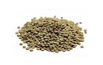 Green Lentils 500g