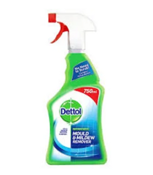 Dettol Mould and Mildew Remover