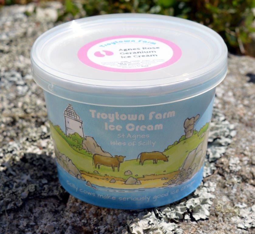 Troytown Ice Cream 425ml